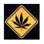 Priorité à la légalisation du cannabis médical